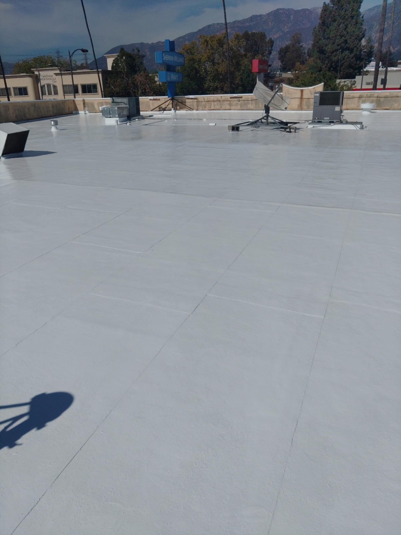 Finished flat roof with fresh coating