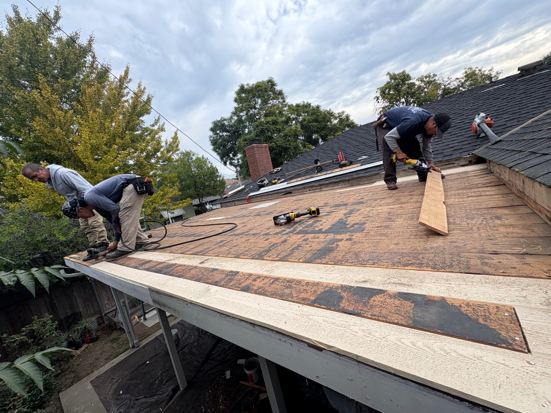 Crew installing new decking on a roof tear-off